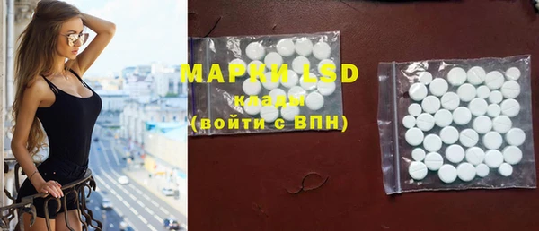прущие грибы Белоозёрский