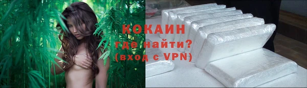 хмурый Белокуриха