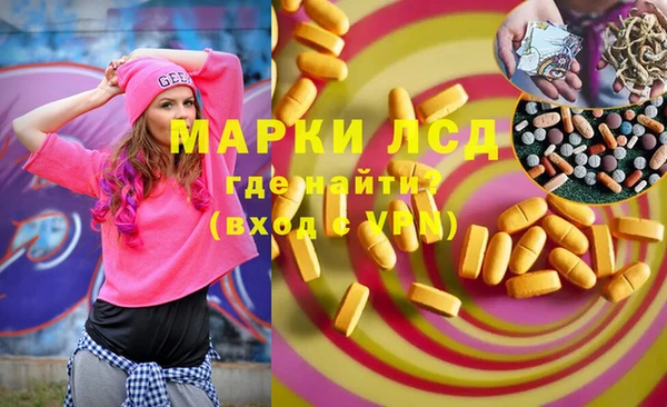 хмурый Белокуриха