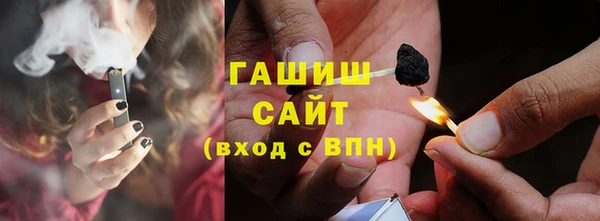 хмурый Белокуриха
