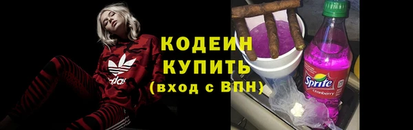 хмурый Белокуриха