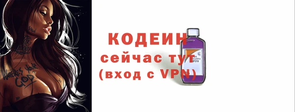 хмурый Белокуриха