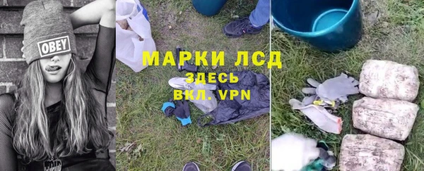 хмурый Белокуриха