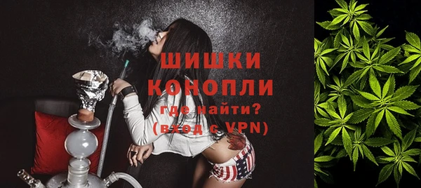 прущие грибы Белоозёрский