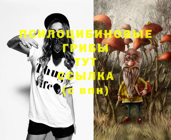 хмурый Белокуриха