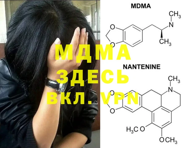 хмурый Белокуриха