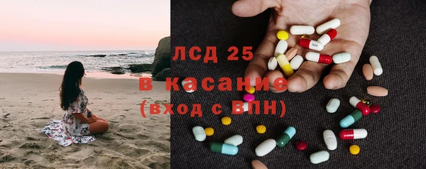 хмурый Белокуриха
