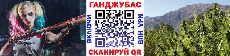 Шишки марихуана семена  Беломорск 